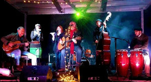 Canada Day Fireworks & Live Music Cruise - Trestle Brewing Company